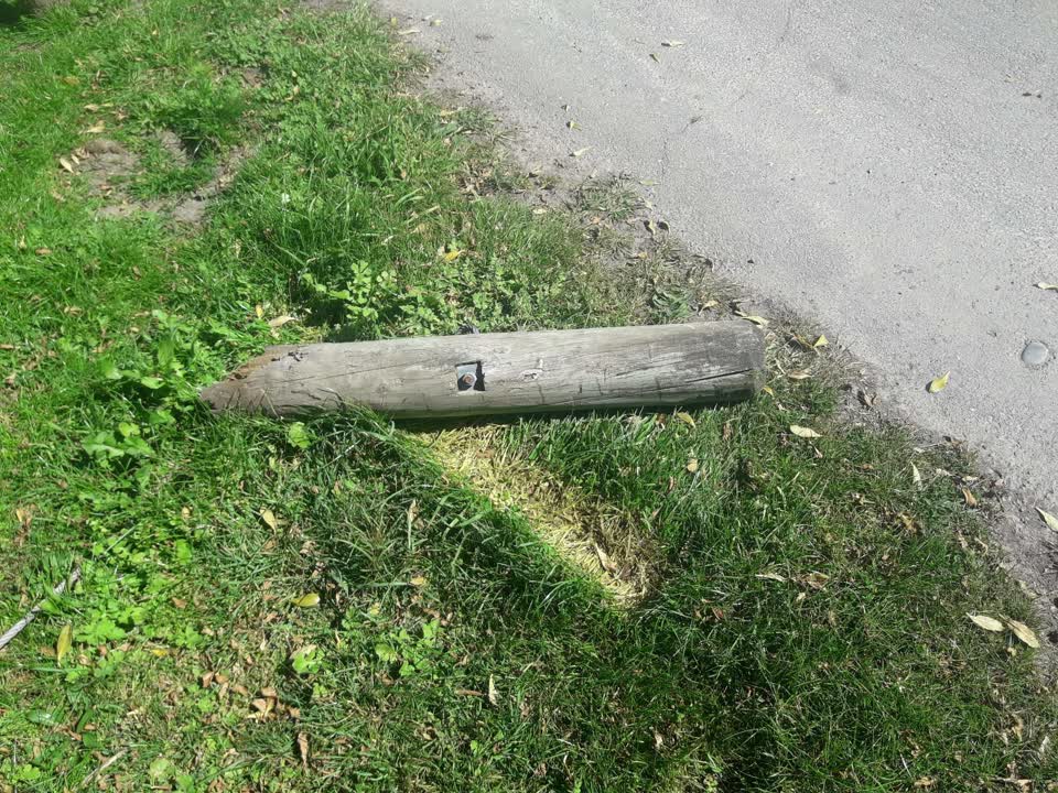 The photograph attached to this parks report