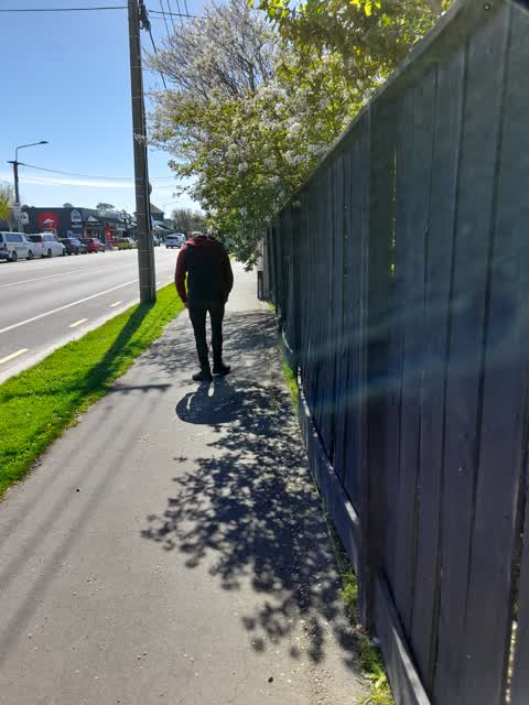 Street Light Outage, a report photo