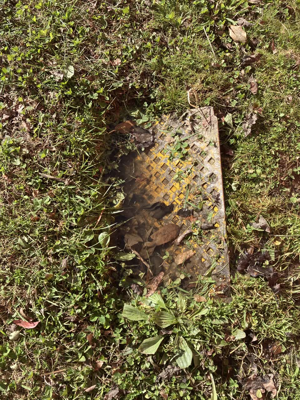 The photograph attached to this water leak report