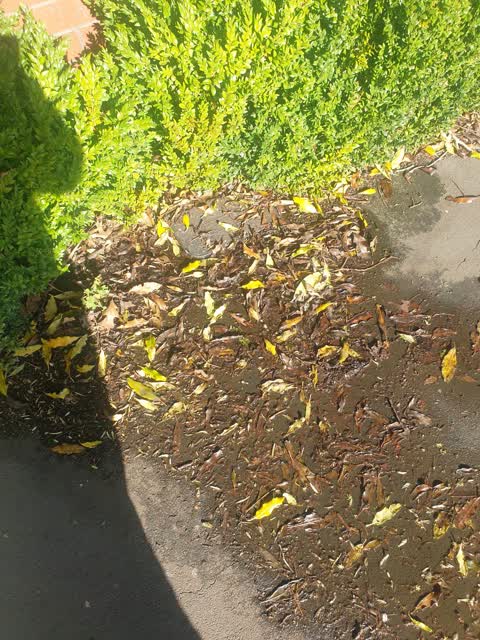 Water Leak, a report photo