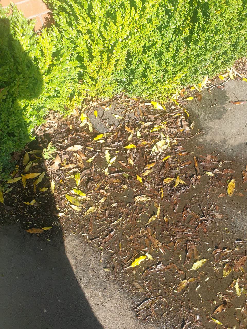 The photograph attached to this water leak report