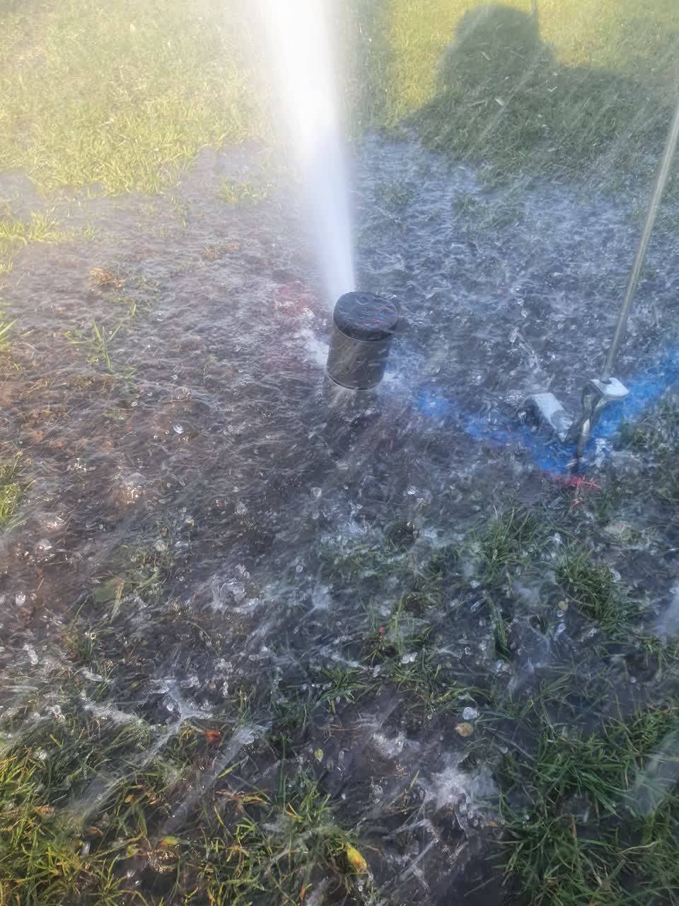 The photograph attached to this parks report