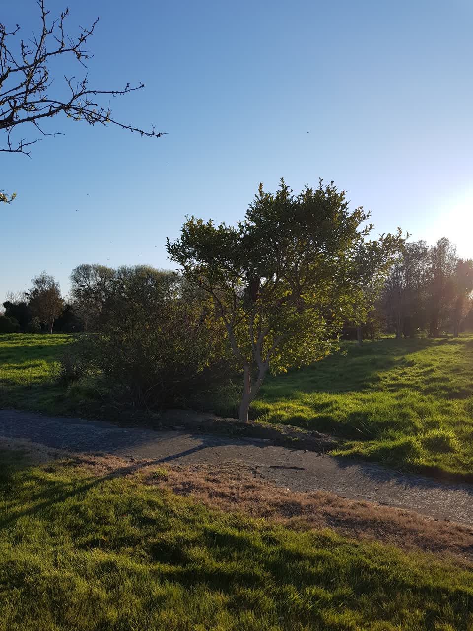 The photograph attached to this parks report