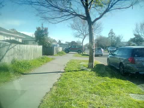 Roading/Streets — a report photo