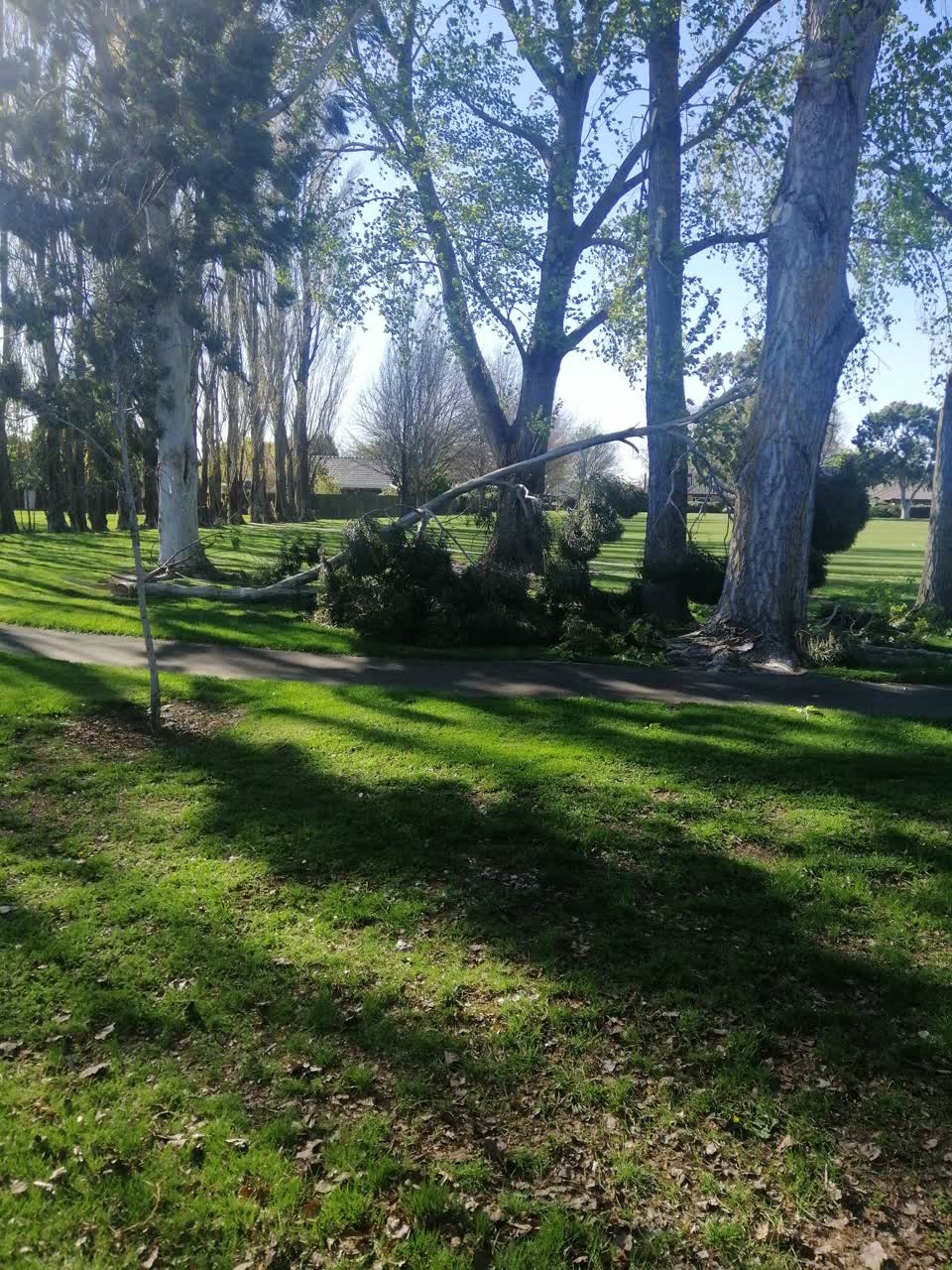 The photograph attached to this parks report