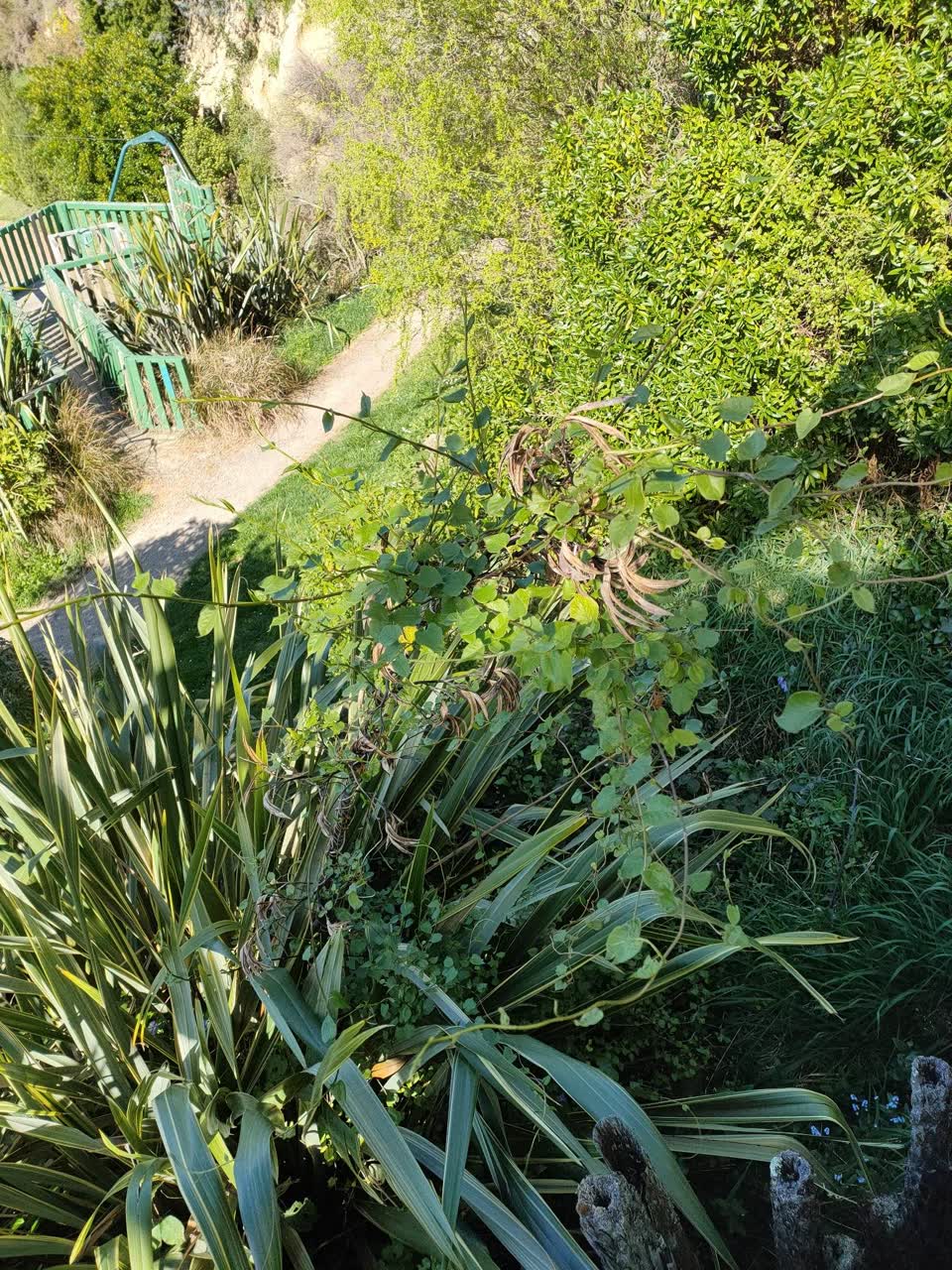 The photograph attached to this parks report