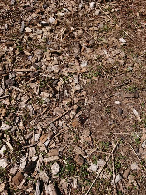 Parks, a report photo