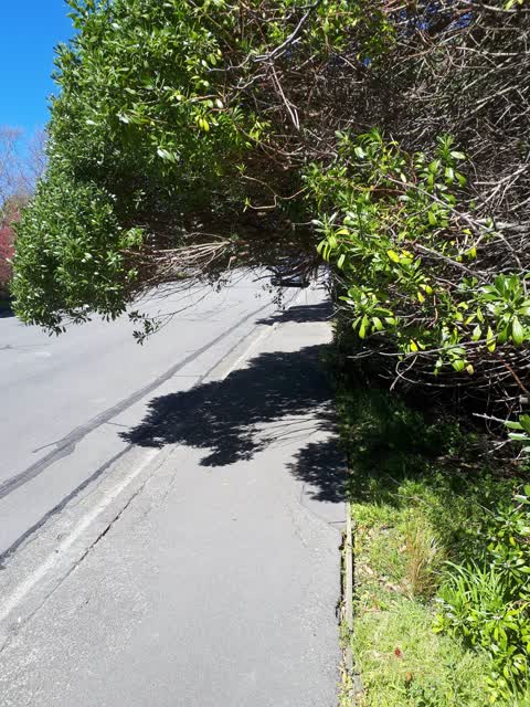Roading/Streets — a report photo