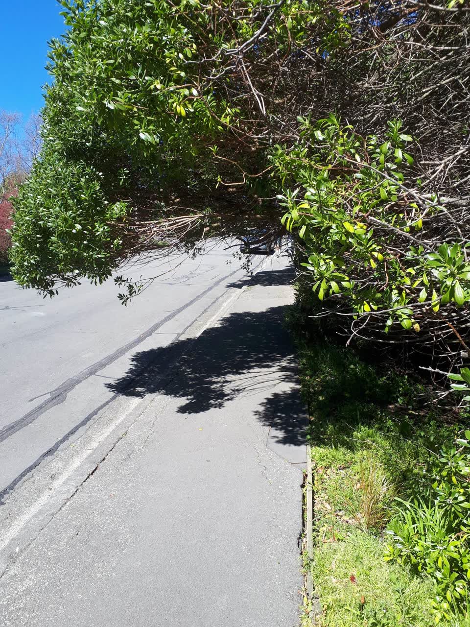 The photograph attached to this roading/streets report