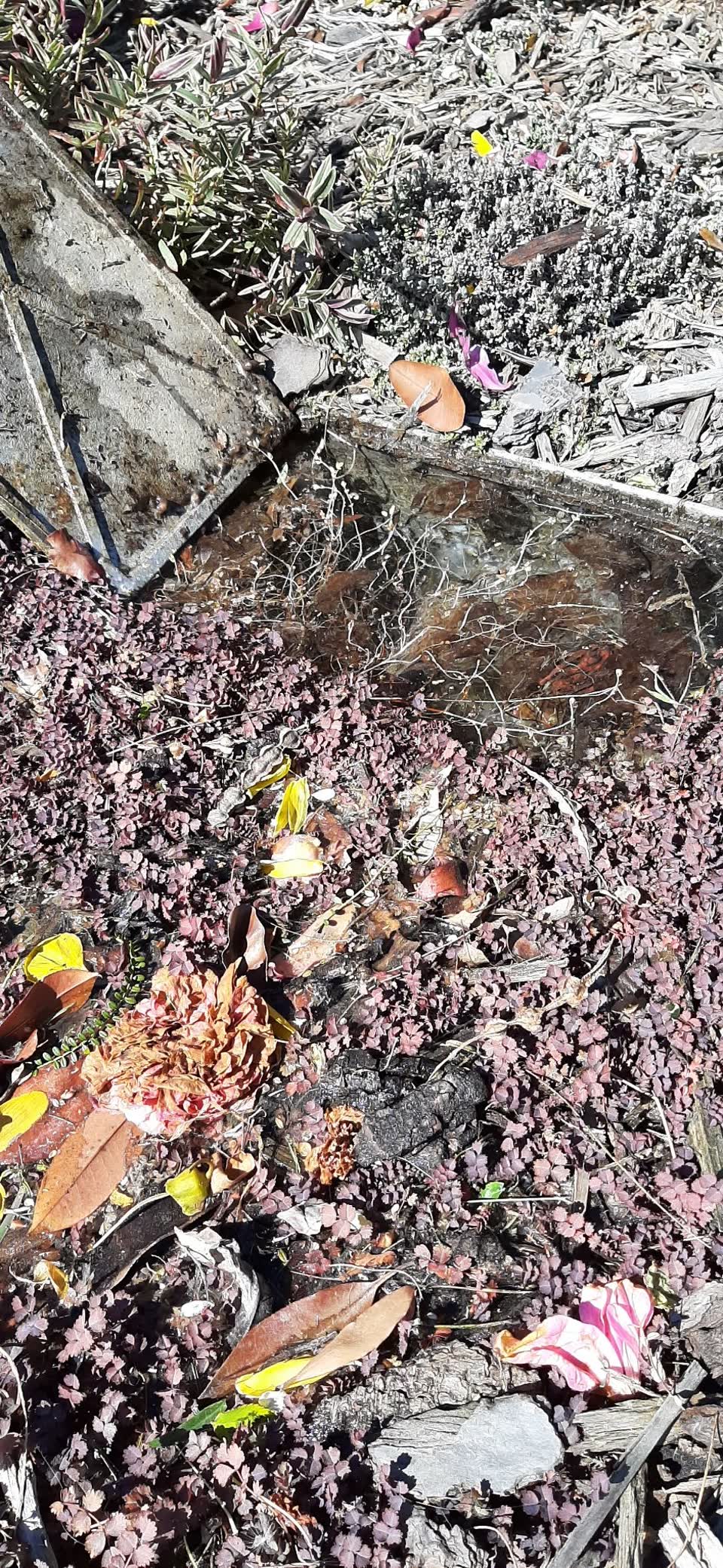 The photograph attached to this water leak report