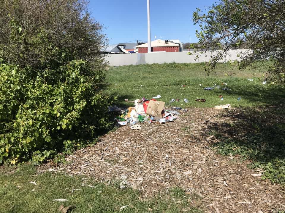 The photograph attached to this rubbish/recycling report