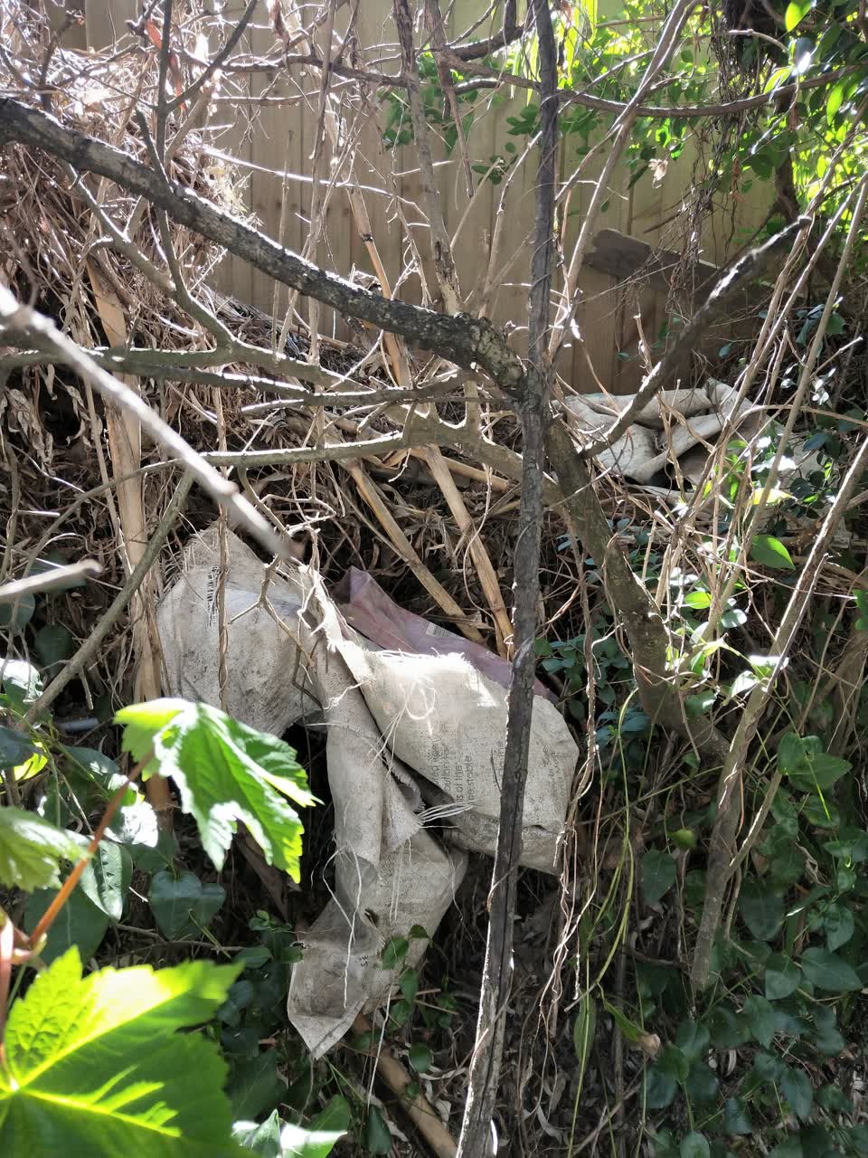 The photograph attached to this rubbish/recycling report
