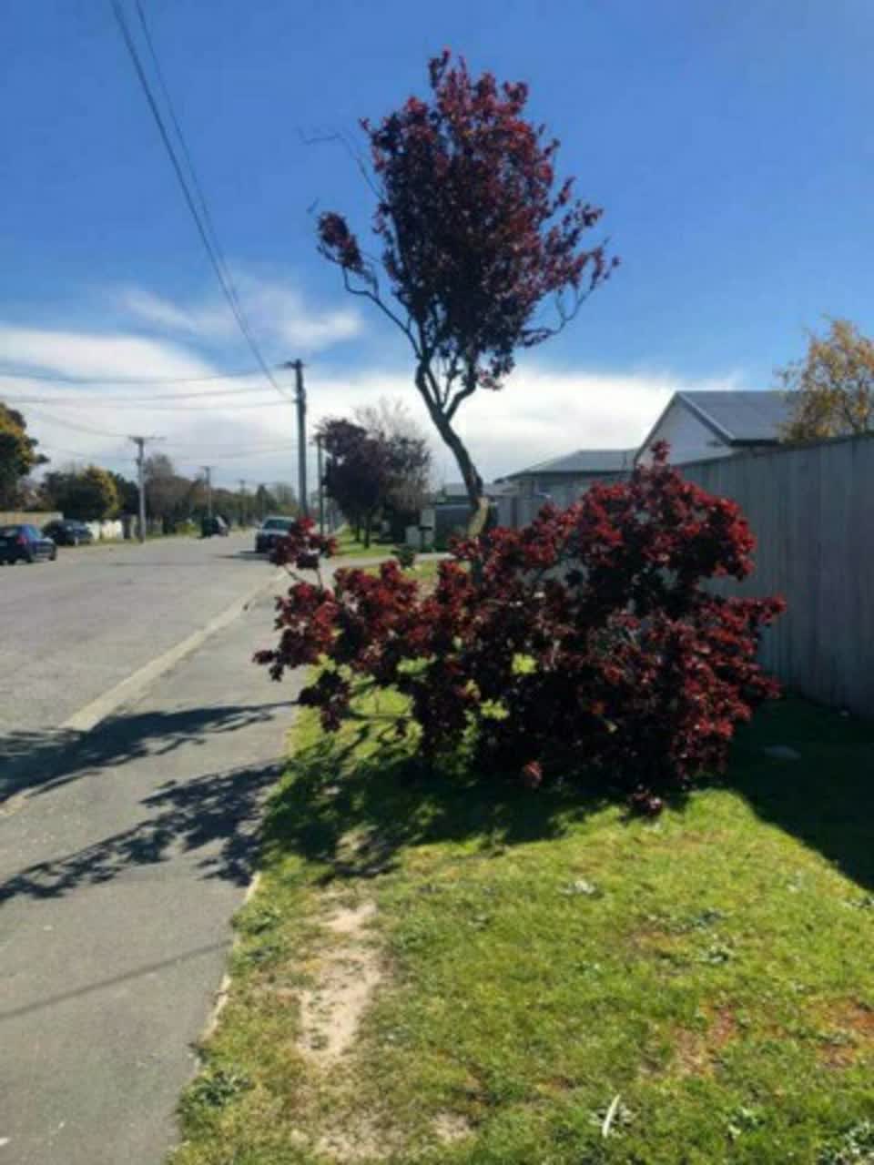The photograph attached to this roading/streets report