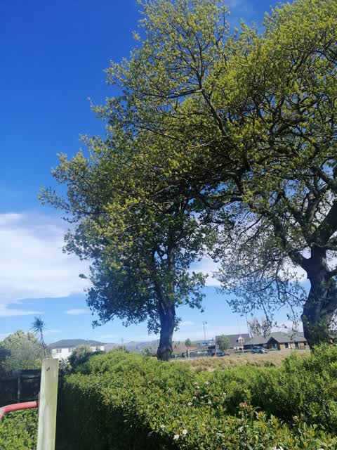 Parks, a report photo