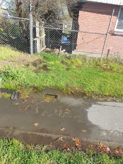 Flooding, a report photo