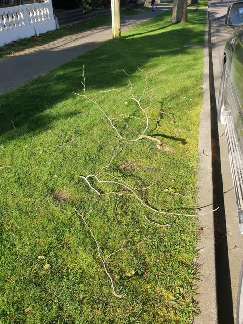 Roading/Streets, a report photo