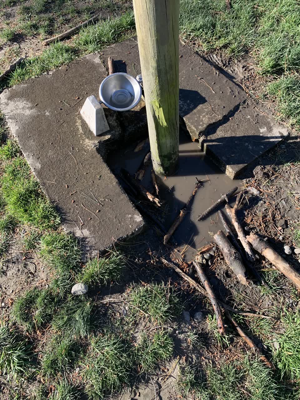 The photograph attached to this parks report