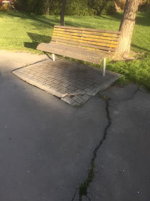 Parks, a report photo