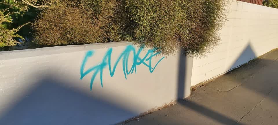 The photograph attached to this graffiti report