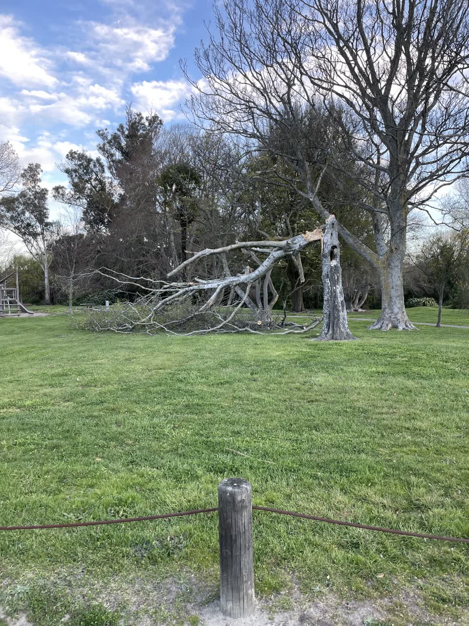 The photograph attached to this parks report