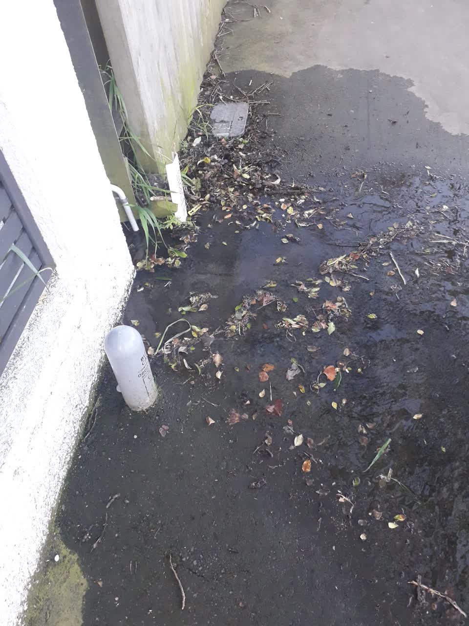 The photograph attached to this water leak report