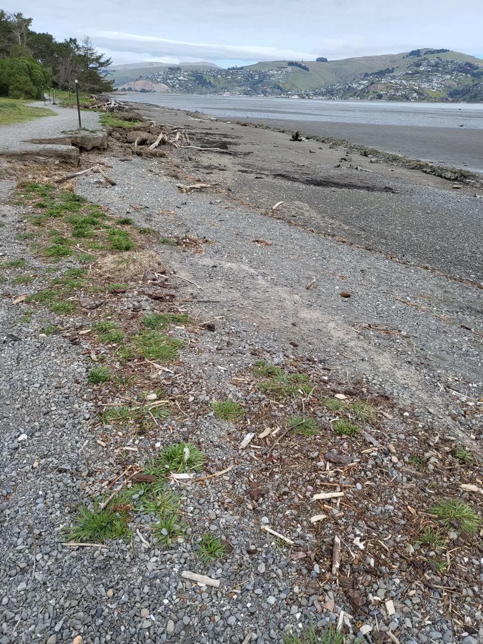 The photograph attached to this street light outage report