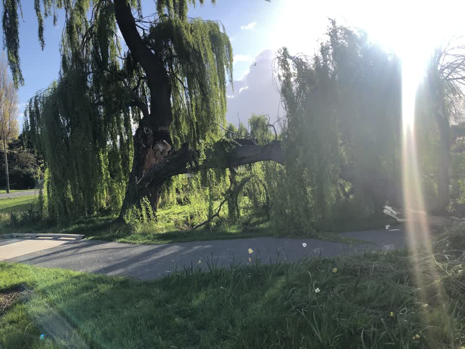 The photograph attached to this parks report
