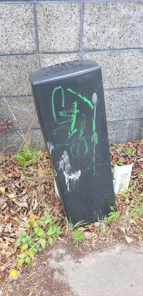 Graffiti, a report photo