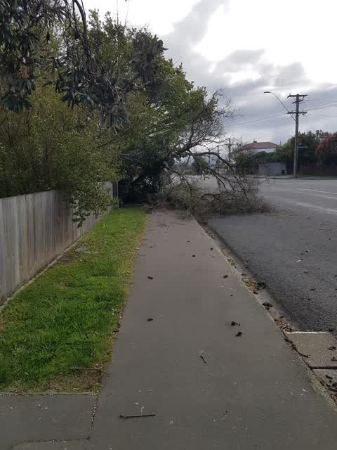 Roading/Streets, a report photo
