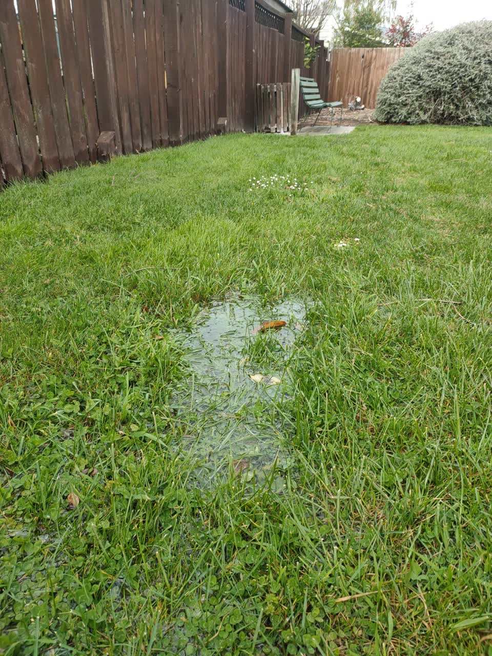 The photograph attached to this water leak report