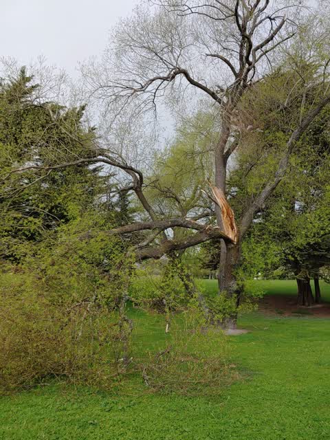 Parks, a report photo