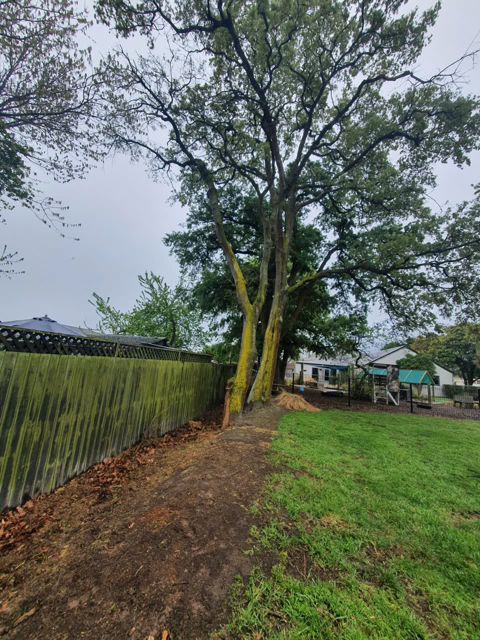 The photograph attached to this parks report