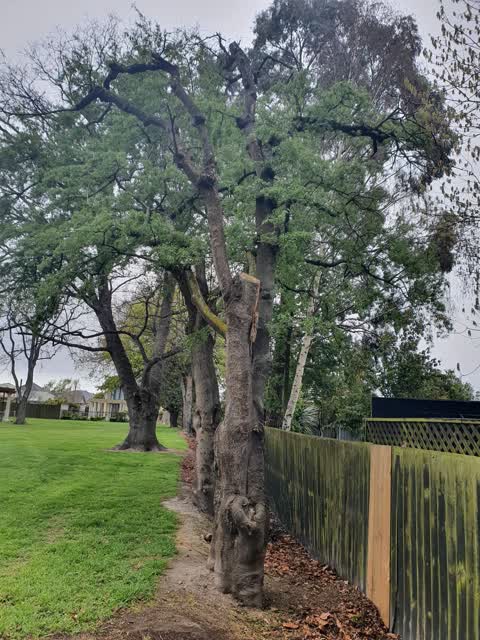 Parks, a report photo