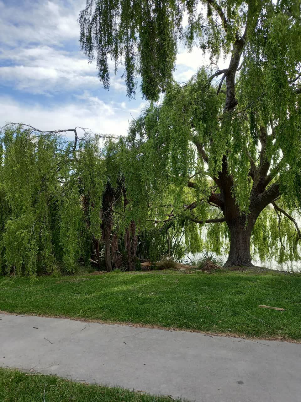 The photograph attached to this parks report