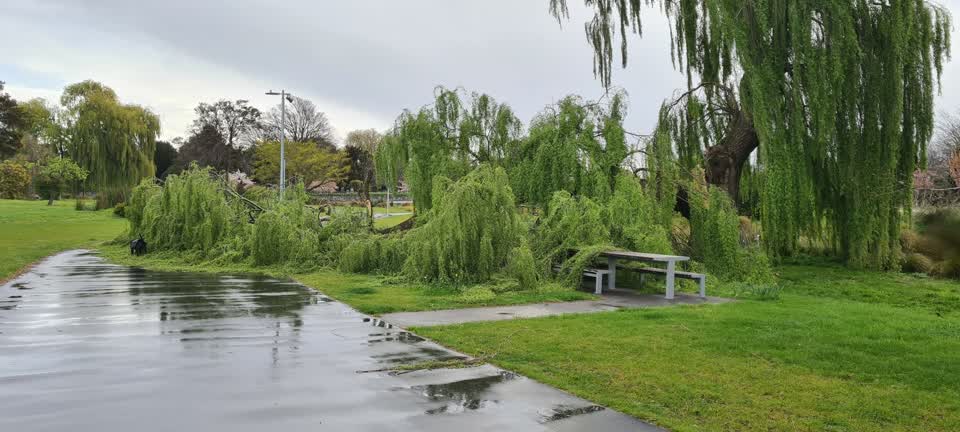 The photograph attached to this parks report