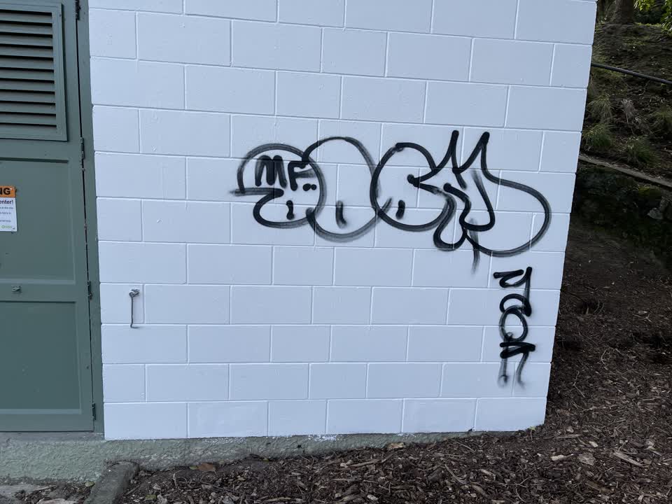The photograph attached to this graffiti report