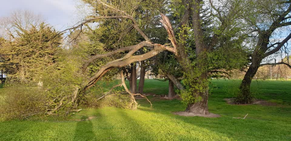 The photograph attached to this parks report