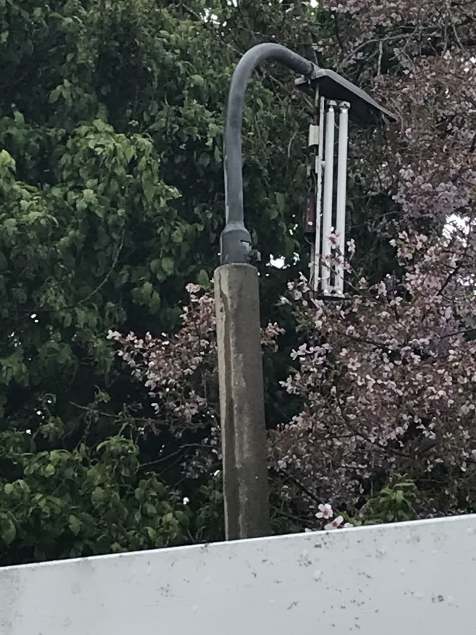 The photograph attached to this street light outage report