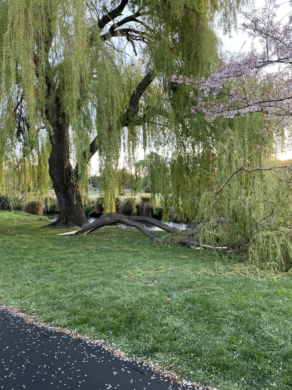 The photograph attached to this parks report