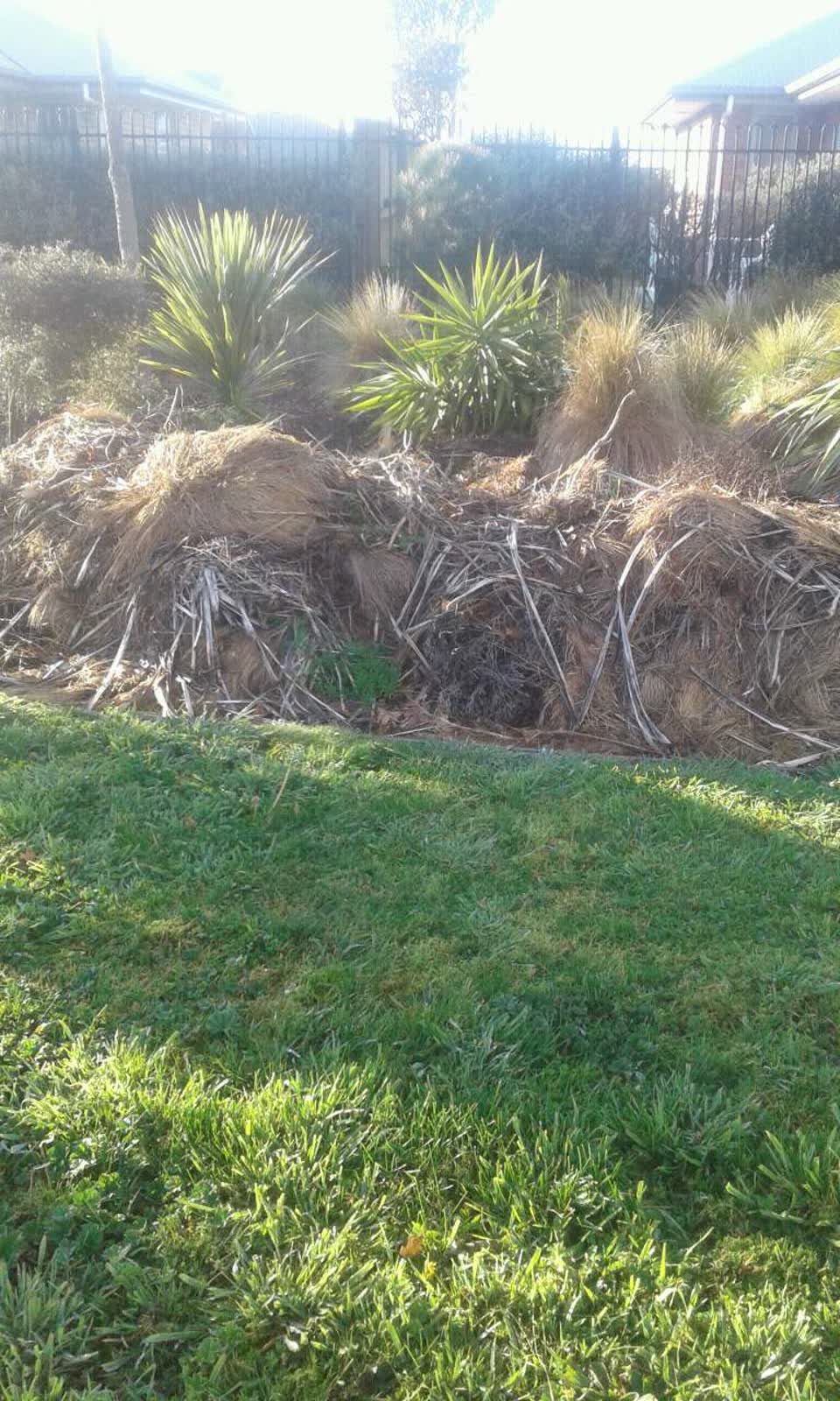 The photograph attached to this parks report