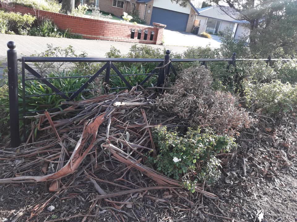 The photograph attached to this parks report