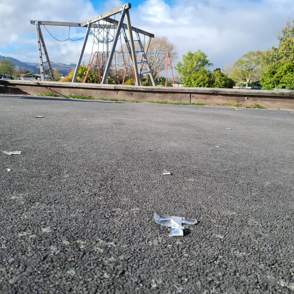 The photograph attached to this parks report