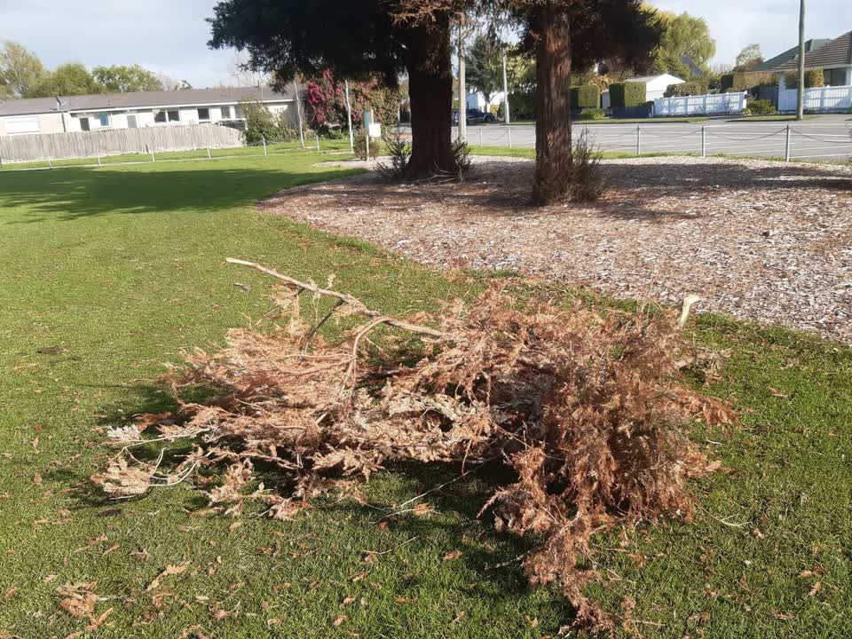 The photograph attached to this parks report