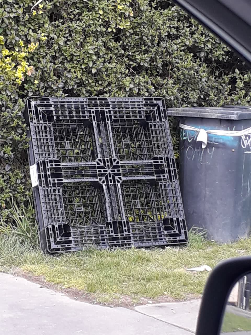 The photograph attached to this rubbish/recycling report