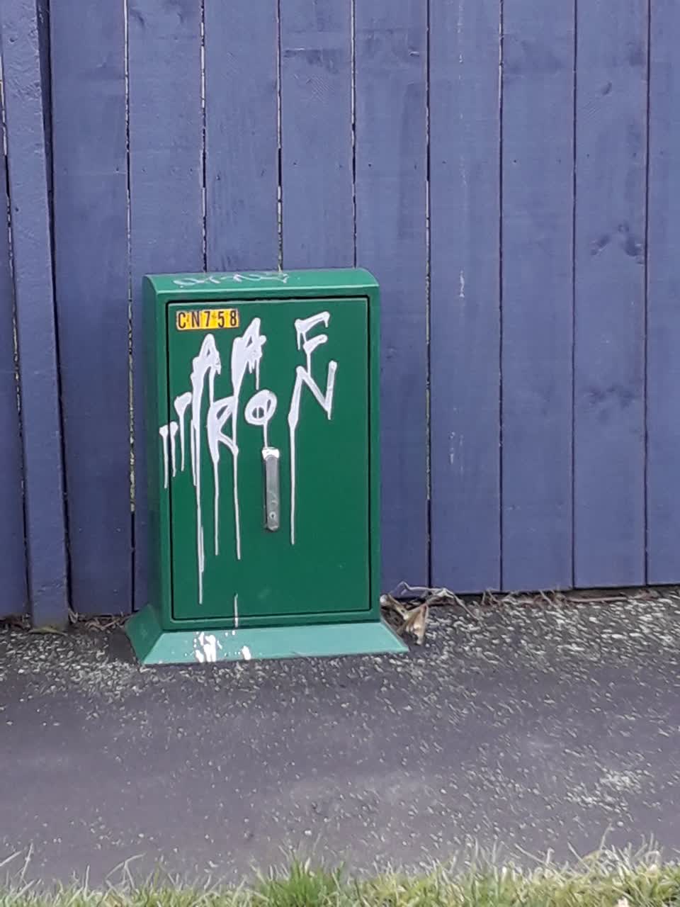 The photograph attached to this graffiti report