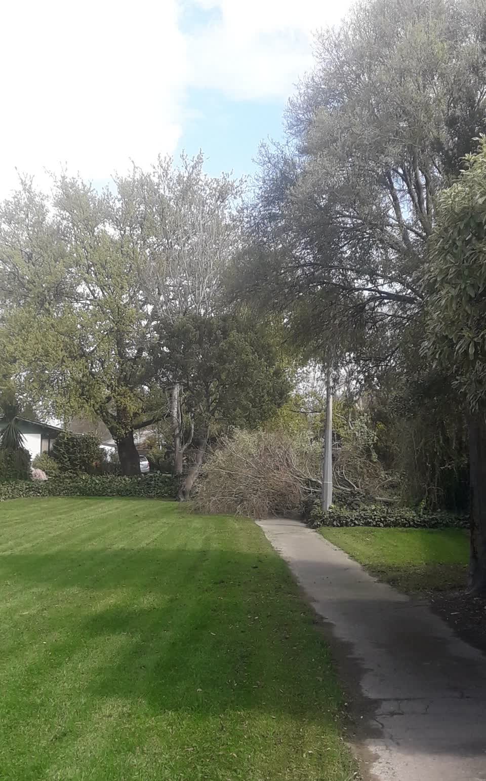 The photograph attached to this parks report