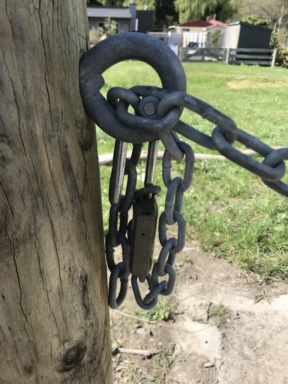 The photograph attached to this parks report