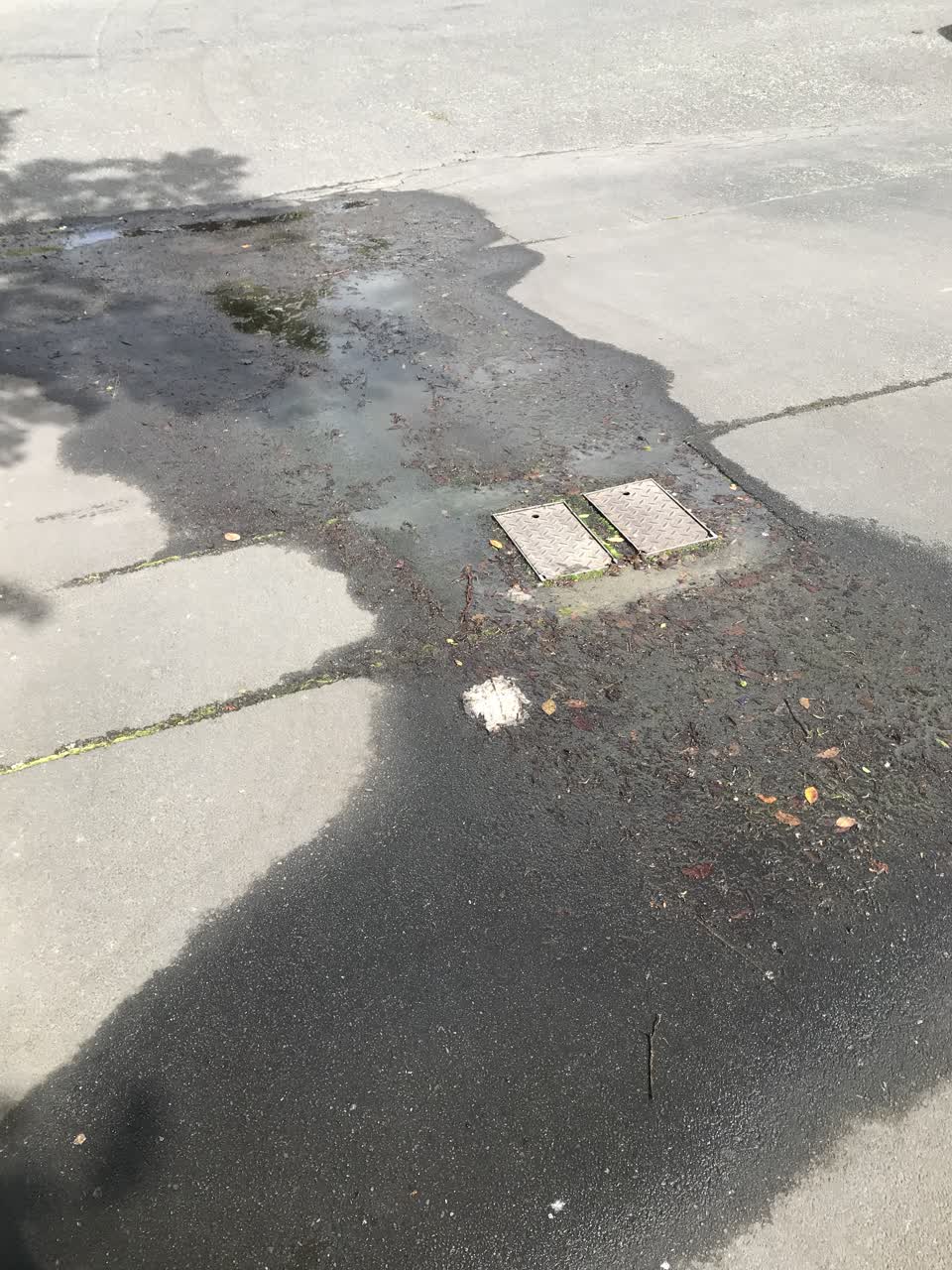 The photograph attached to this water leak report