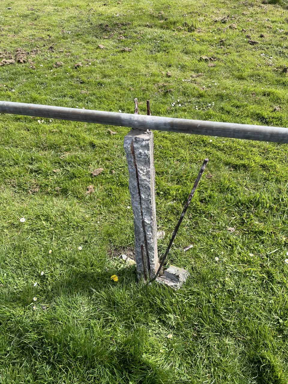 The photograph attached to this parks report