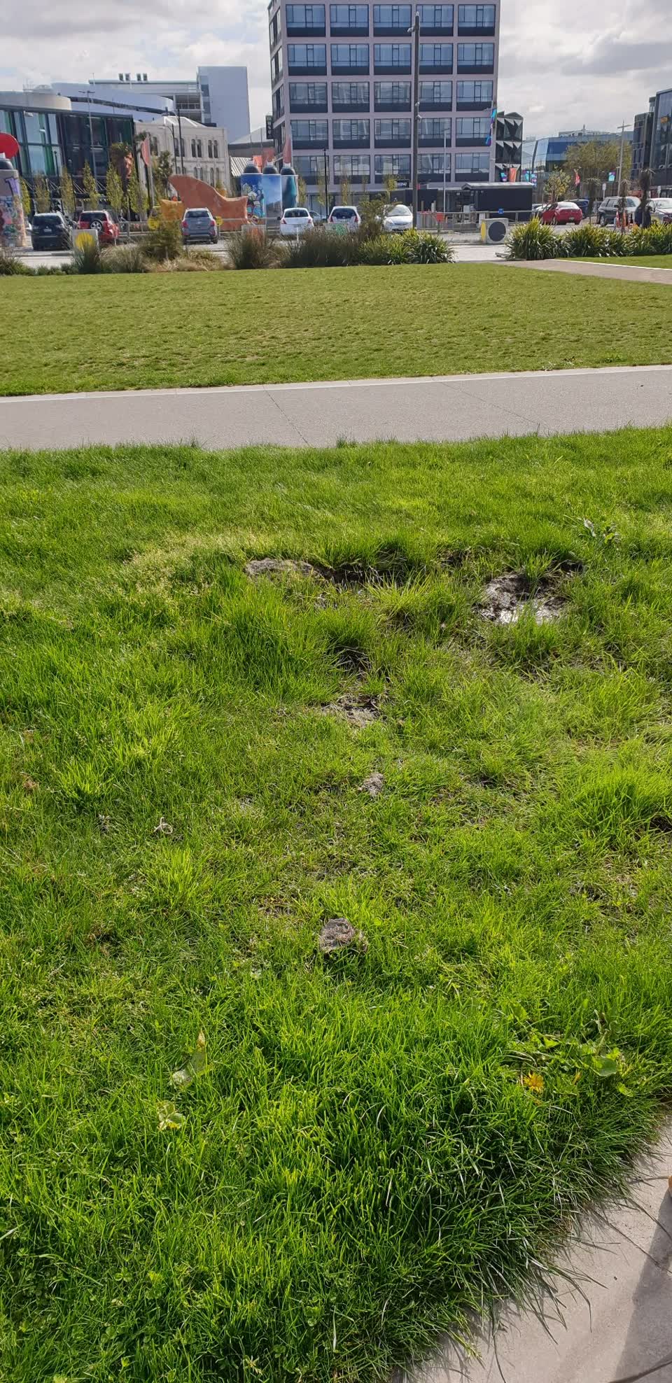 The photograph attached to this water leak report